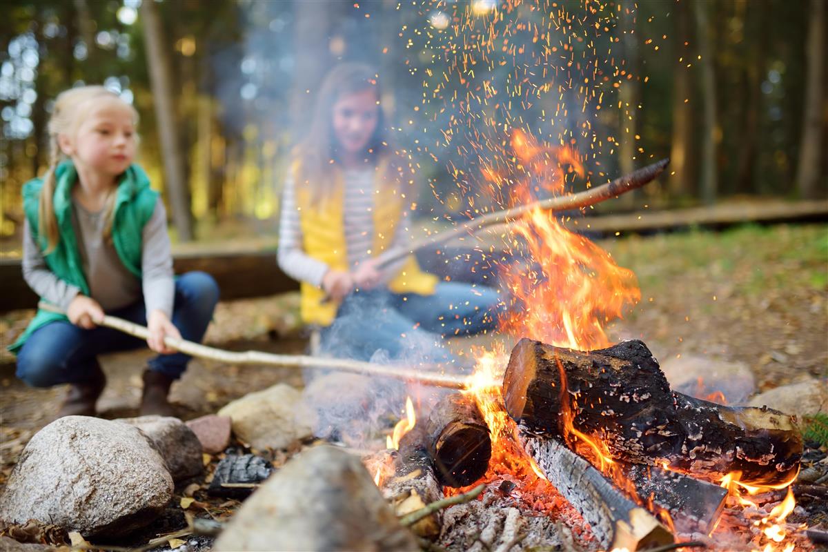 To barn som griller pølser på pinne på eit bål - Klikk for stort bilete